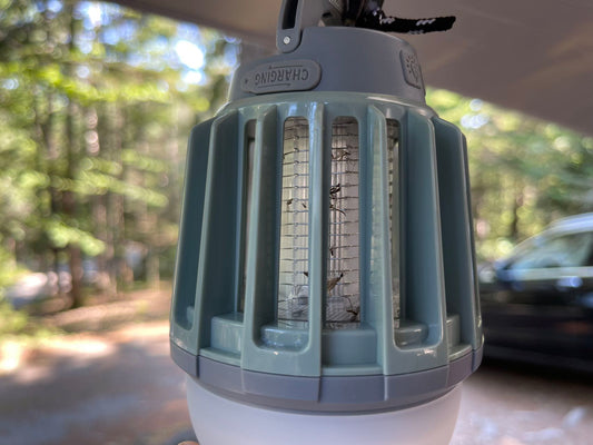 How bug zapper can help you in summer
